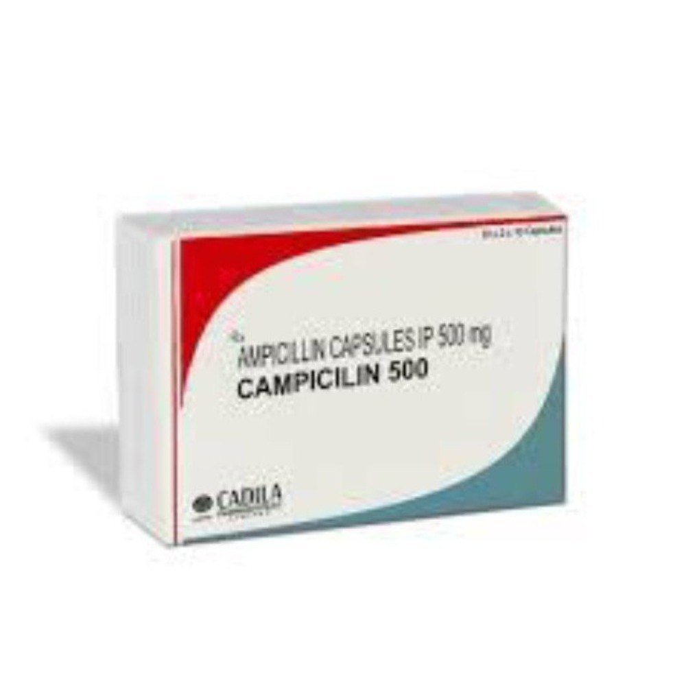 <br />
<b>Warning</b>:  Undefined variable $product_name in <b>/home/u111217017/domains/globetrekllp.com/public_html/single-product.php</b> on line <b>181</b><br />
